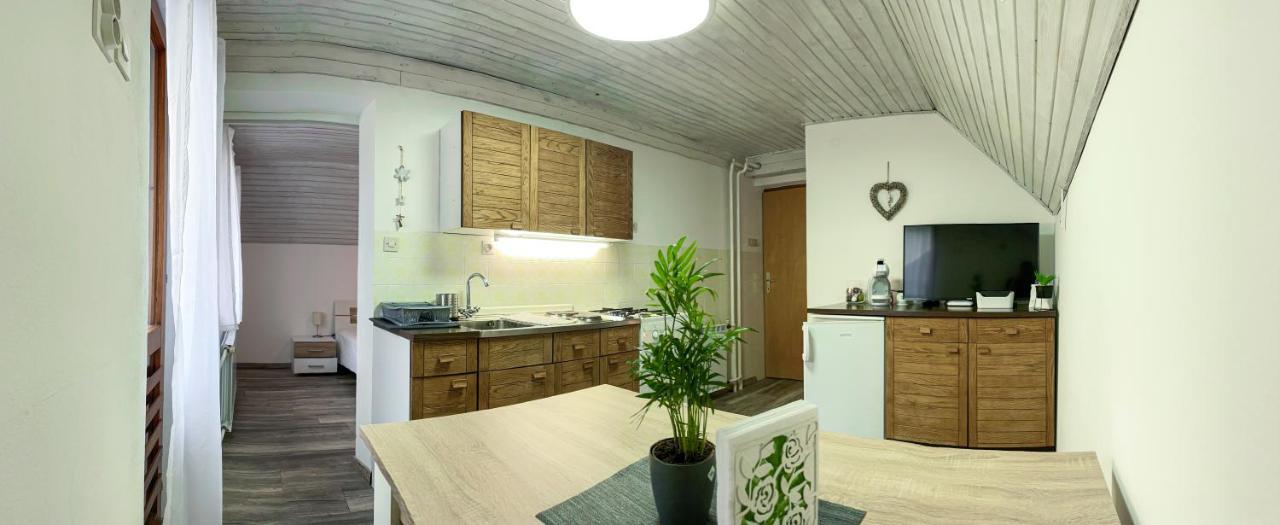 Apartmán Apartma Petra Ravnik - Wanderer'S Hut Bohinj Exteriér fotografie