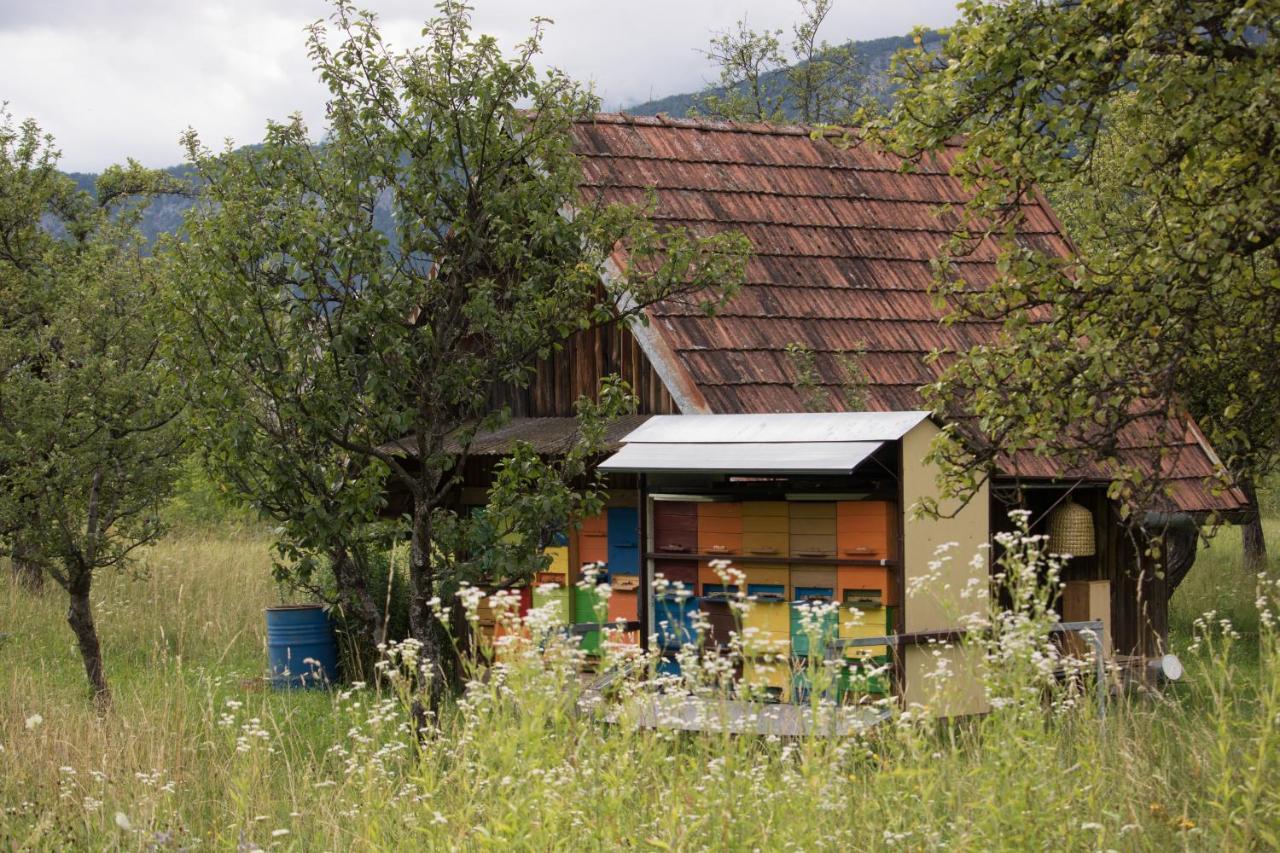 Apartmán Apartma Petra Ravnik - Wanderer'S Hut Bohinj Exteriér fotografie